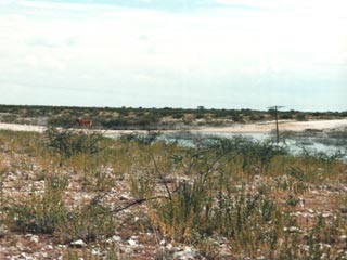 Namibia'97: Desert in Arminuis